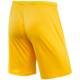 Шорты игровые CAMP Classic Shorts JFT-1120-041, желтый/белый